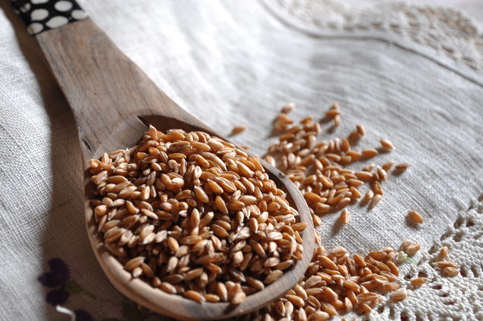 FARRO